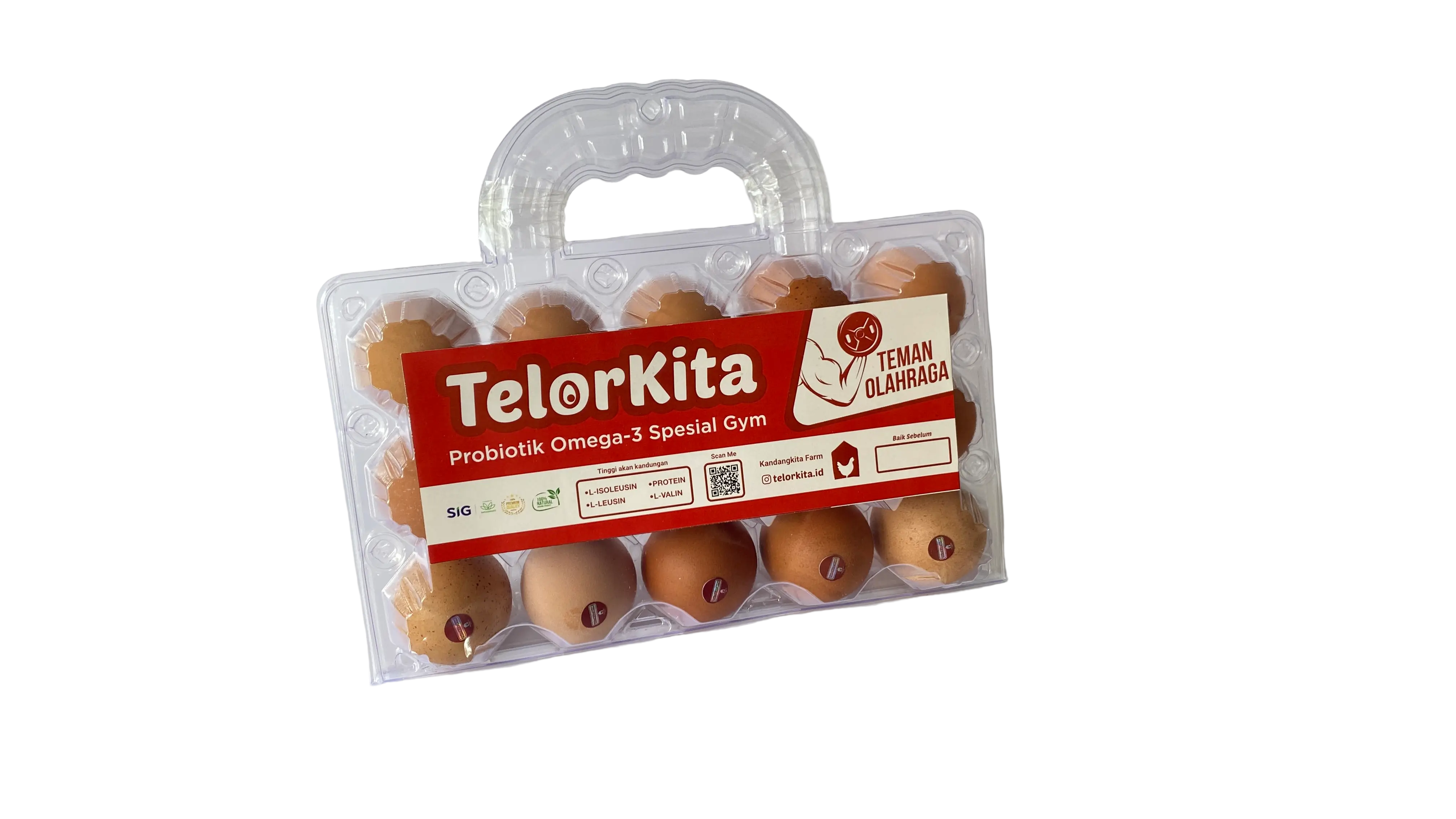 TelorKita Gym