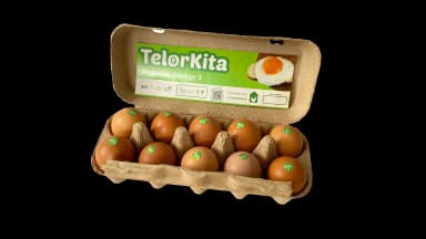 Telur Omega-3